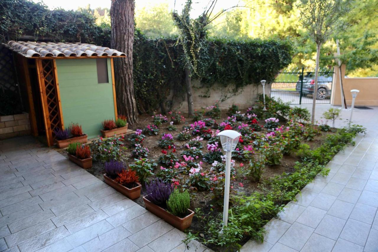 Bed and Breakfast La Casa Di Nonno Giulio Porto SantʼElpidio Exteriér fotografie